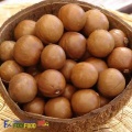 Hạt mắc ca và lợi ích sức khỏe