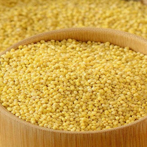 Hạt kê Fixyfood