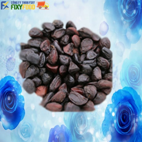 Magnolia Balansae Seeds Magnolia Balansae Seeds