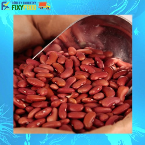 Đậu đỏ hạt lớn Fixyfood